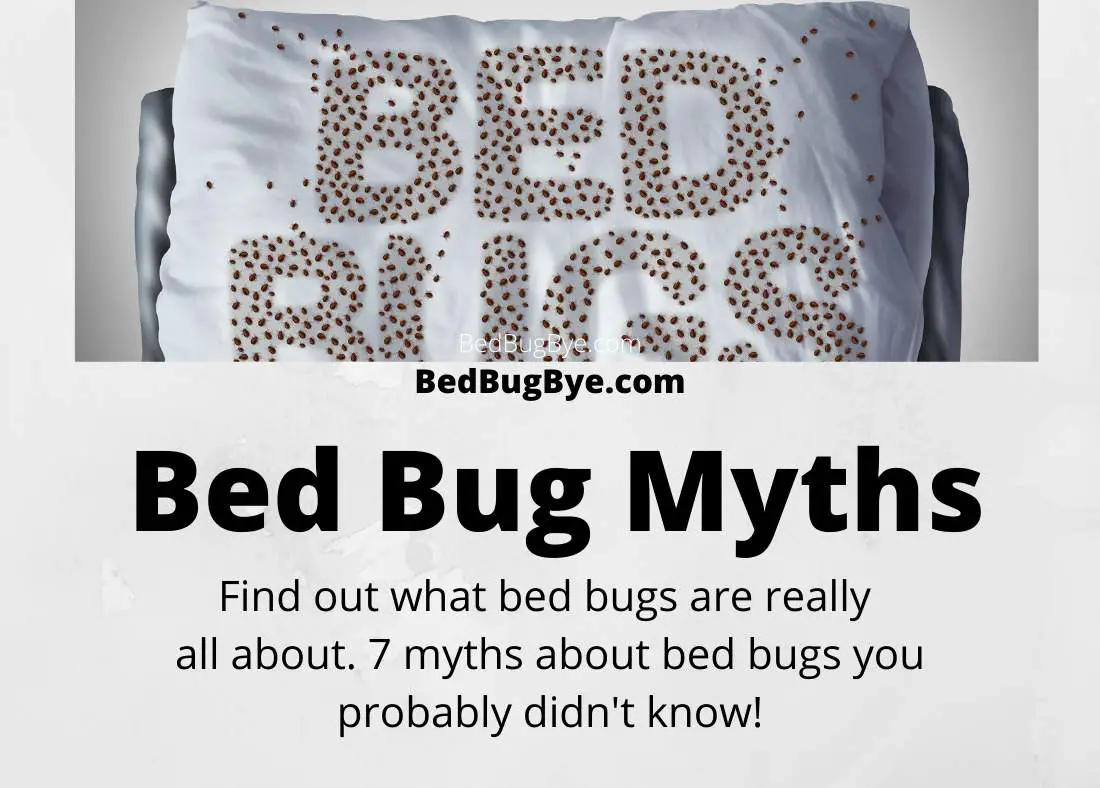 Bed Bug Myths - Top 7 Myths Exposed - Bed Bug Bye